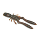 Megabass Bottle Shrimp 4"
