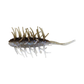 Hideup Coike Shrimp - Medium
