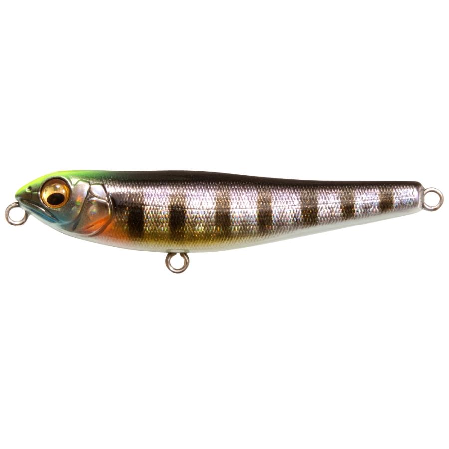 Megabass Dog-X Jr Coayu (BFS)