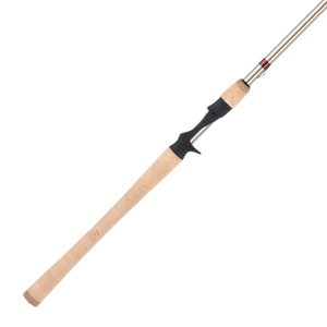 Fenwick Techna Casting Rod