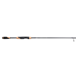 Fenwick World Class Bass Spinning Rod