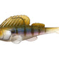 Megabass Dark Sleeper 3"