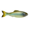 6th Sense Panorama 3.5" - Ghost Minnow