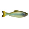 6th Sense Panorama 9.0 - Ghost Minnow