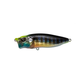 Megabass PopMax Topwater Lure