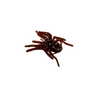 Gan Craft Big Spider Micro - #27 Blood Coke Blue Flake