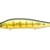 Megabass Ito Shiner - GG Perch