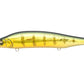Megabass Ito Shiner