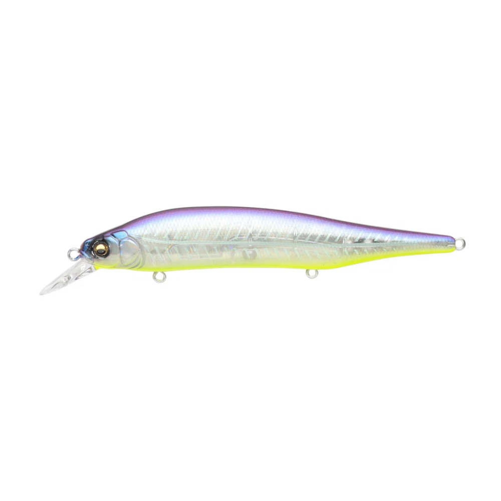 Megabass Ito Shiner