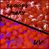 Fishin Freekz Beads - Bloody Mary UV