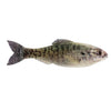 6th Sense Panorama 9.0 - Live Crappie