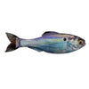 6th Sense Panorama 9.0 - Live Gizzard Shad