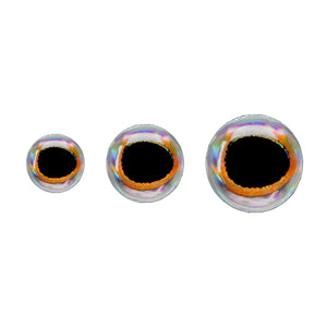 Lunker City 3D Fish Eyes