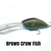 Nishine Chippawa XDD - Brown Crawfish