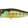 Megabass Pop-X - Gill