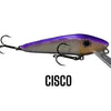 Chaos 5" CXT - Cisco