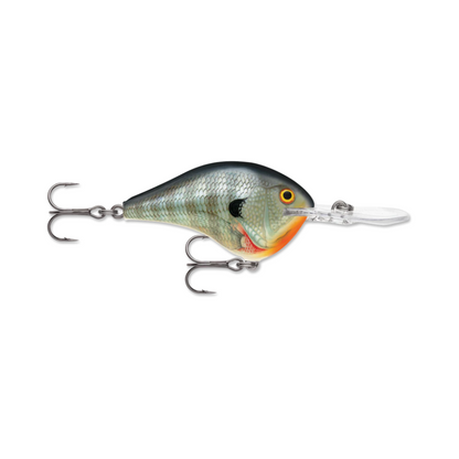 Rapala DT10 Crankbaits