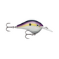 Rapala DT6 Crankbait