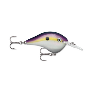 Rapala DT6 Crankbait