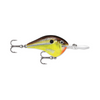 Rapala DT6 Crankbait - Hot Mustard