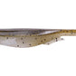 Megabass Spark Shad 4"