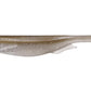 Megabass Spark Shad 3"