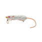 SPRO Rat