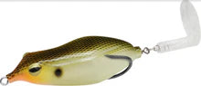 Teckel Sprinker Frog