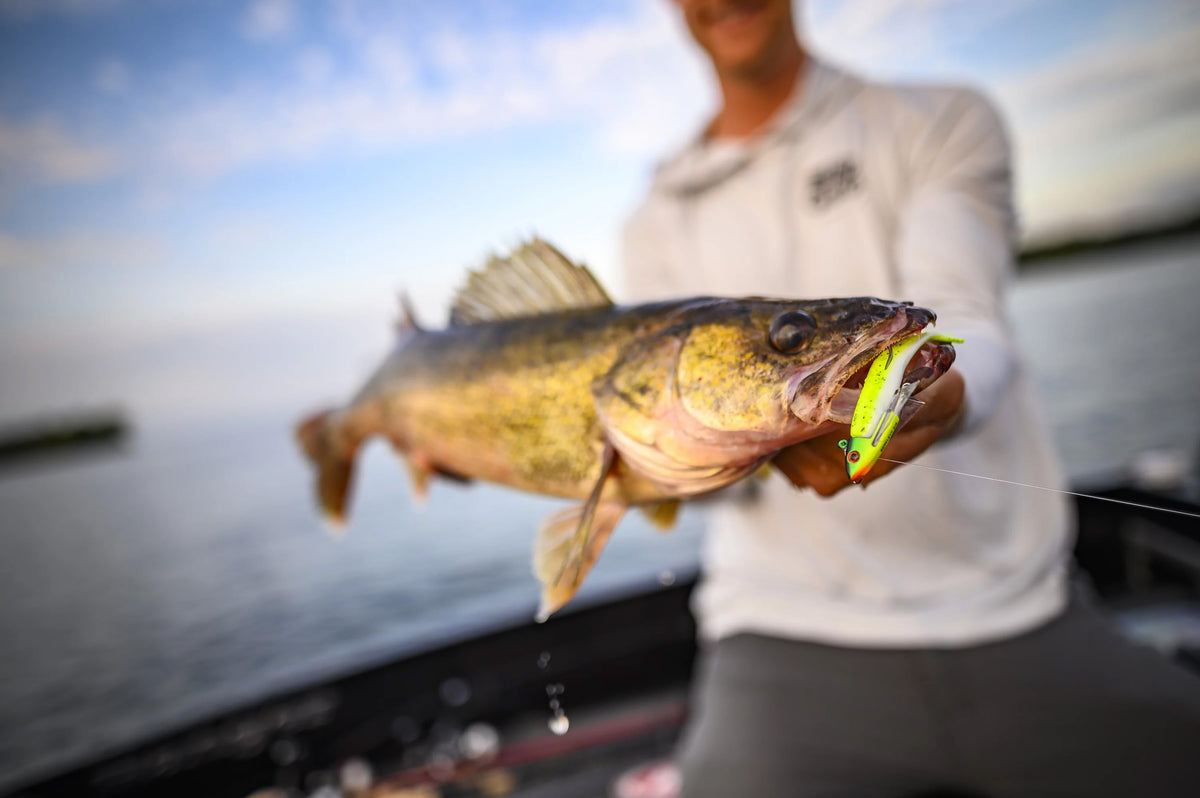 Soft Fish Bates Soft Baits