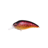 Megabass Super-Z Z1 - GP Spawn Killer