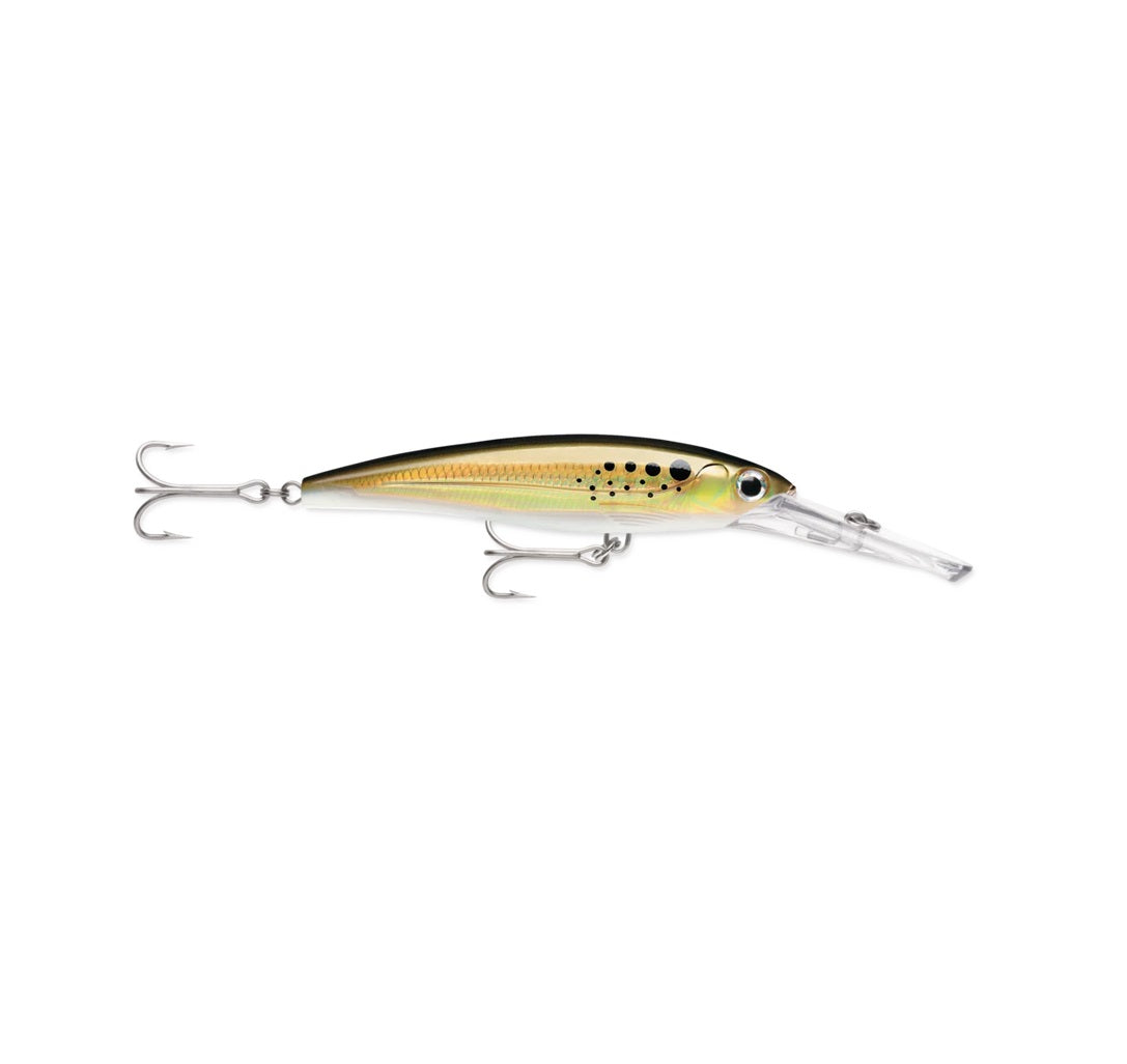 Rapala X-Rap Magnum Saltwater Size 30