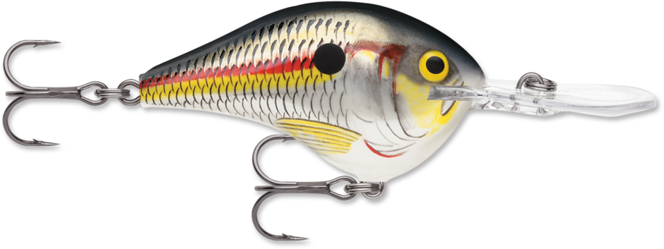 Buy Rapala Products Online at Best Prices in Costa Rica