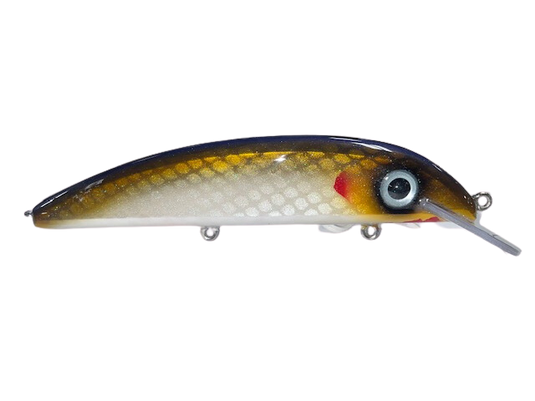 Boss Shad 8