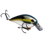 Strike King KVD Square Bill Crankbait 1.5"