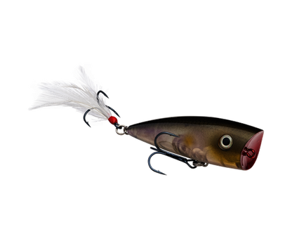 Strike King KVD Splash Topwater
