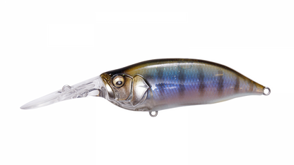 IXI Shad Type-3