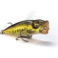 Megabass Baby Pop-X (BFS)