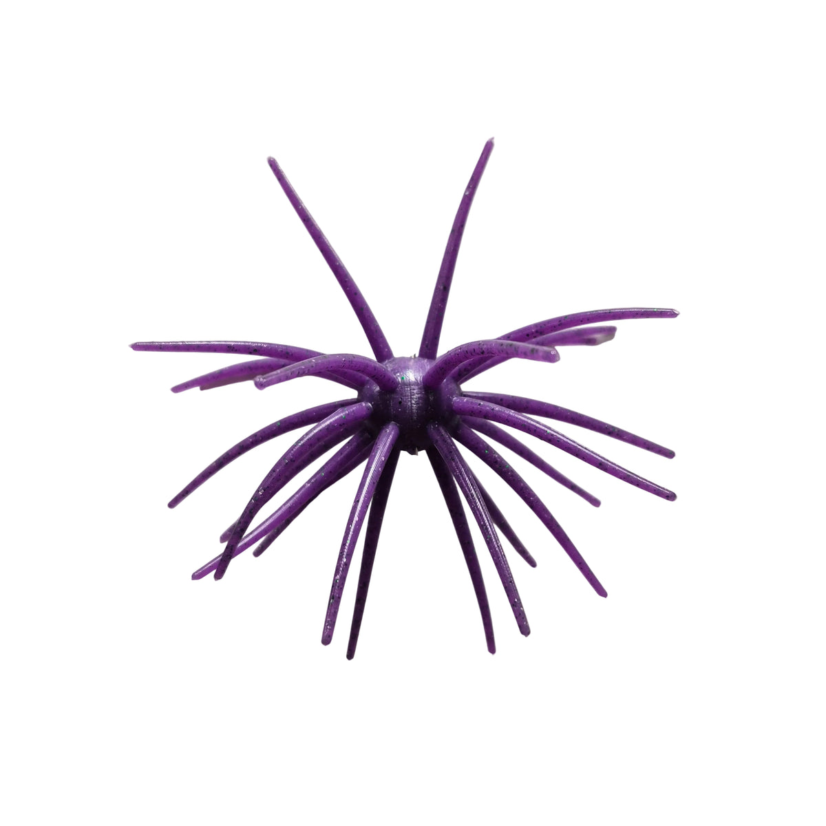 Hag's Prickly Pear 19 mm