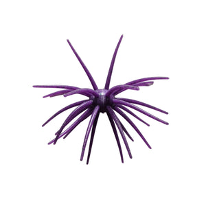 Hag's Prickly Pear 19 mm