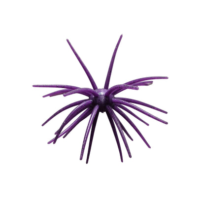 Hag's Prickly Pear 19 mm