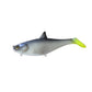 Rover Baits Cisco Shad