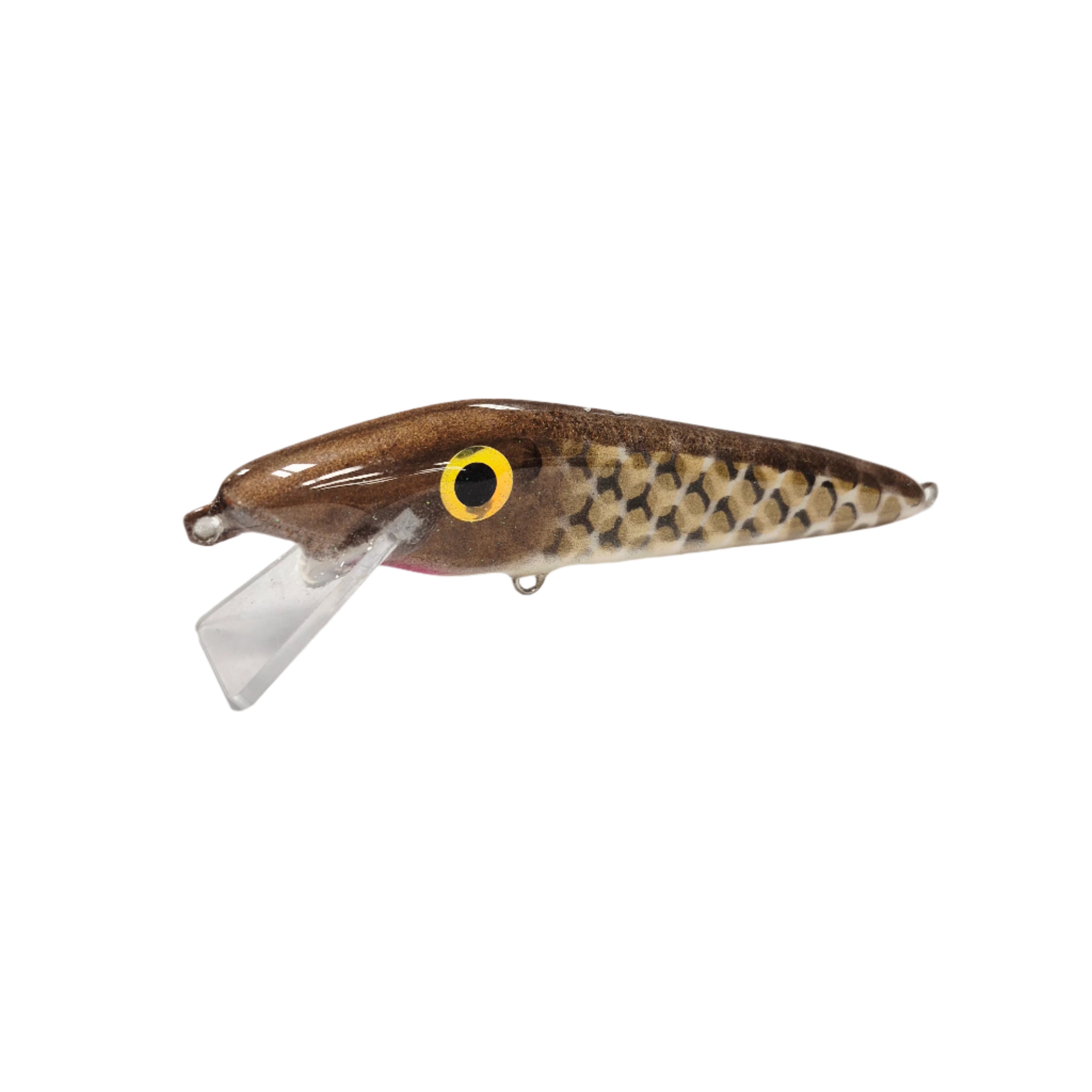 rn-