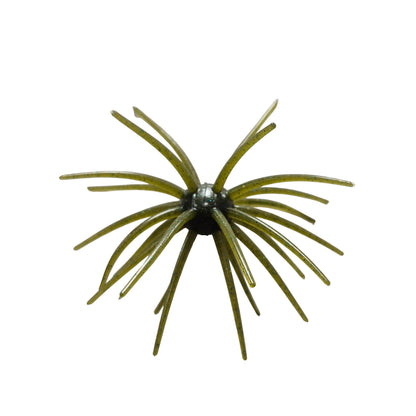 Hag's Prickly Pear 19 mm