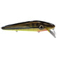 Chaos Tackle CX 10" Mini X