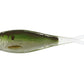 Live Target Skip Shad