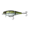 6th Sense Speed Wake 100 - American Shad