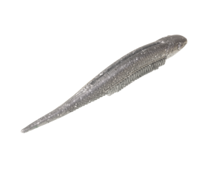 Strike King Shim-E Minnow 5"