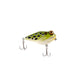 Rebel Frog R