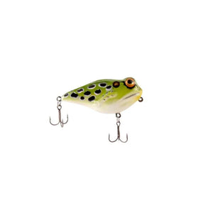Rebel Frog R