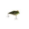 Rebel Frog R - Bullfrog